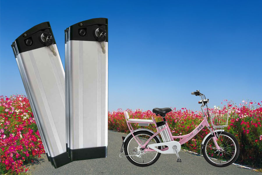 银鱼款48V电动自行车锂电池组