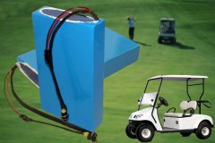 24V锂电池高尔夫球车巡逻车观光车